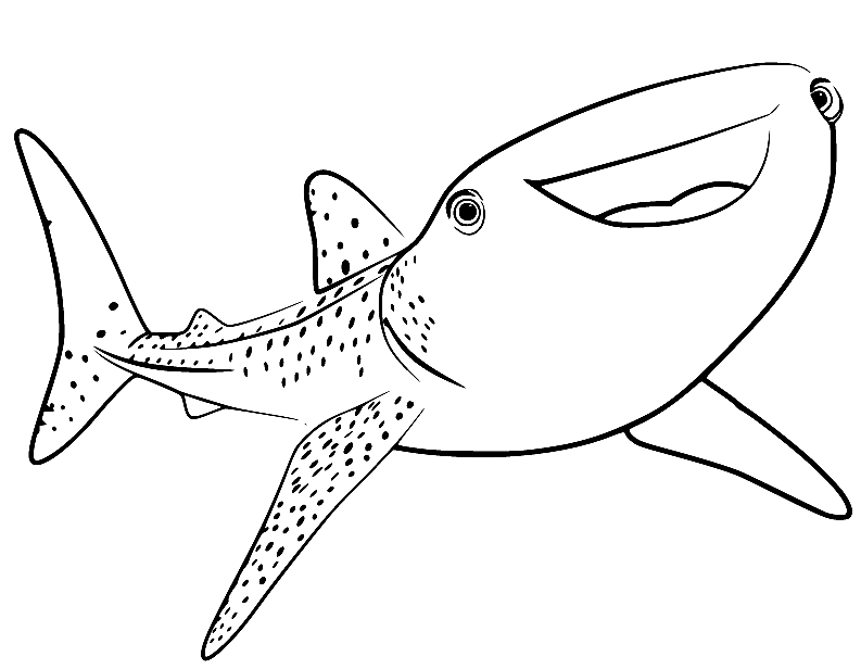 40+ Finding Dory Coloring Pages Free Printable PDF, JPG, PNG & Online