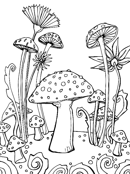 Cute Mushrooms Coloring Page Free Printable Coloring Pages