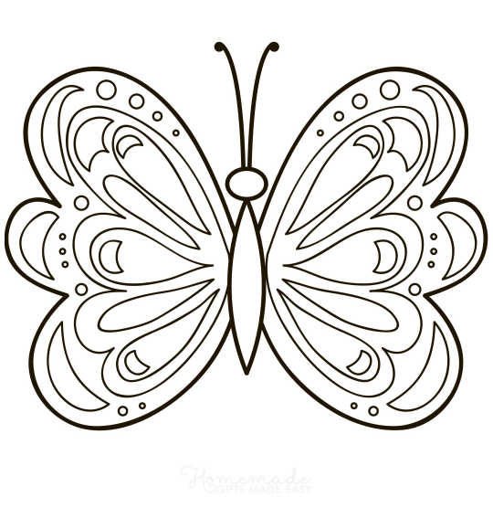 Patterned Butterfly Wings Coloring Page Free Printable Coloring Pages