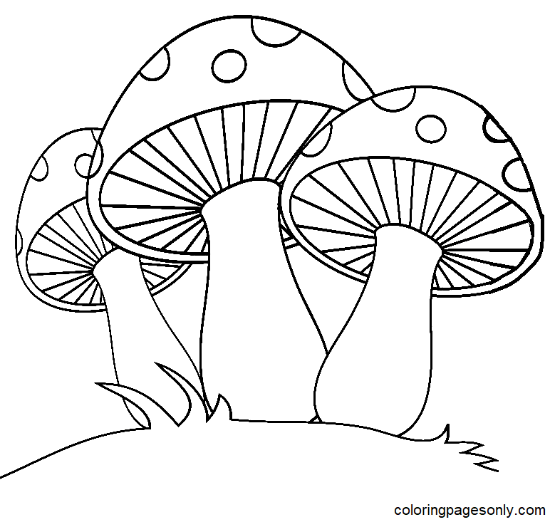 Three Mushrooms for Kids Coloring Page Free Printable Coloring Pages