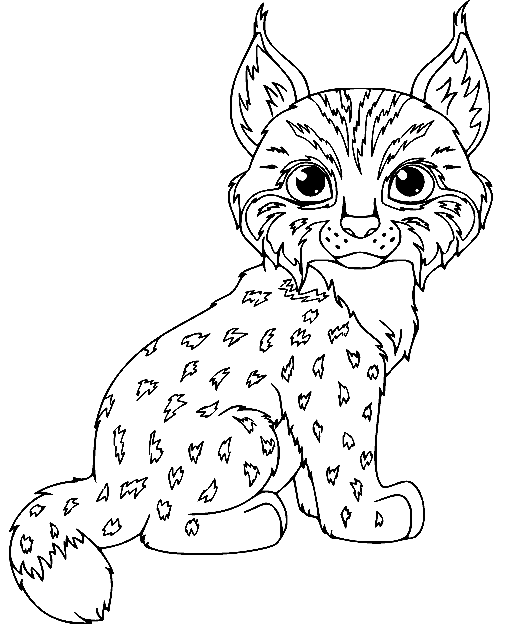 44 Lynx Coloring Pages
