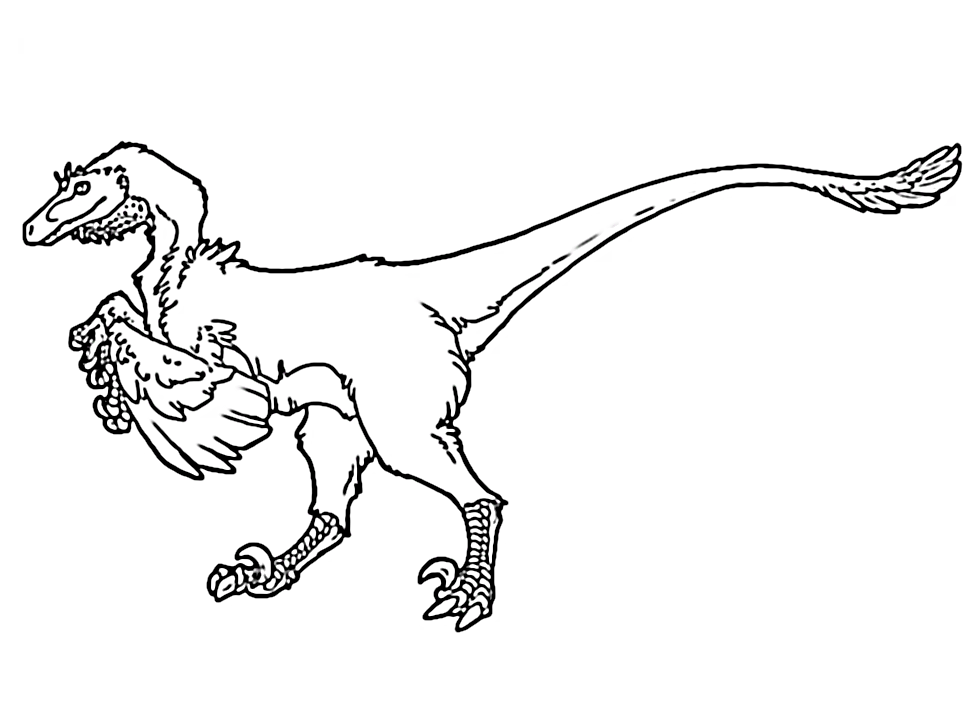 Dinosaurs Velociraptor Coloring Pages