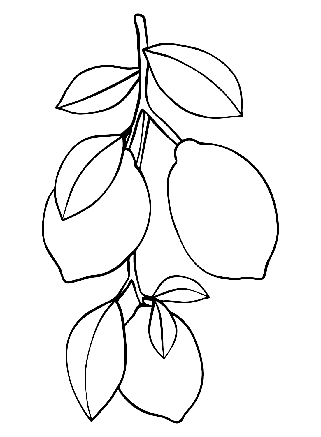Branch Lemons Coloring Page Free Printable Coloring Pages