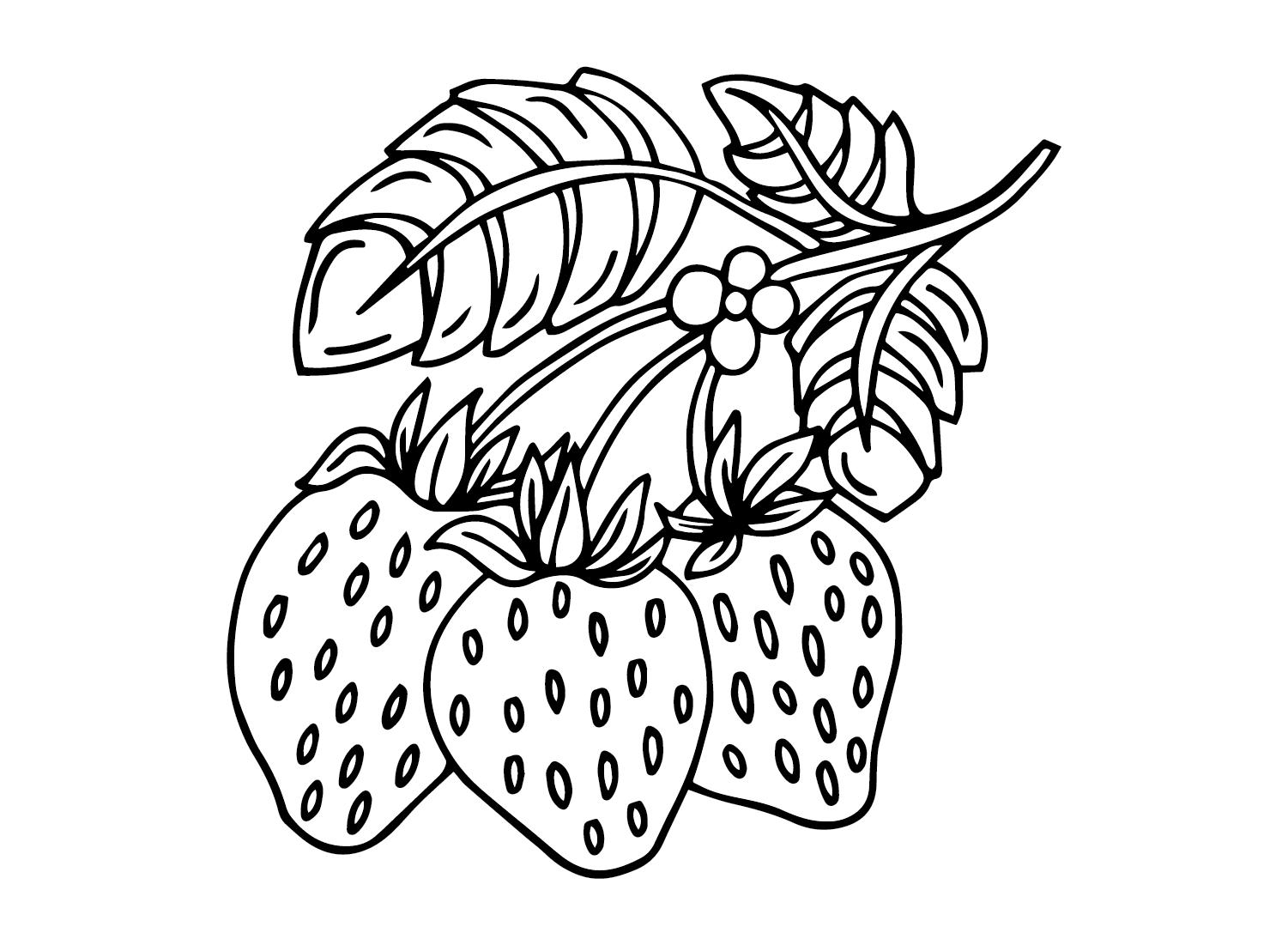50+ Strawberry Coloring Pages Free Printable PDF, JPG, PNG & Online