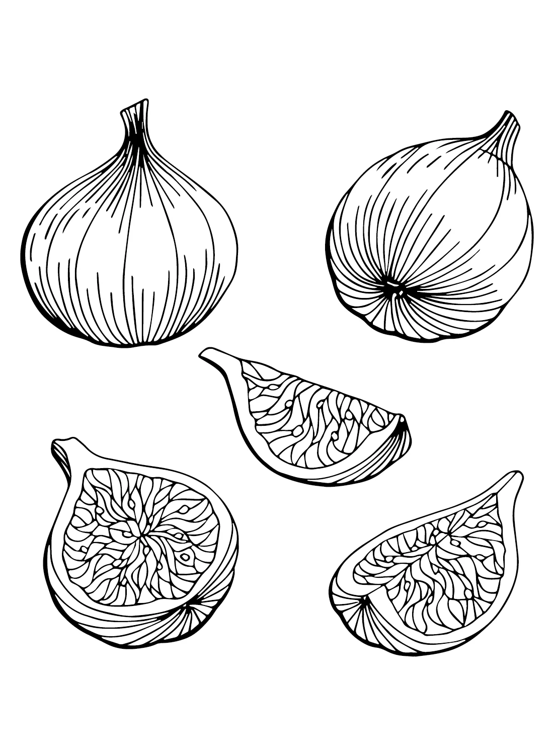Figs Coloring Page For Kids Free Fig Printable Coloring, 47 OFF