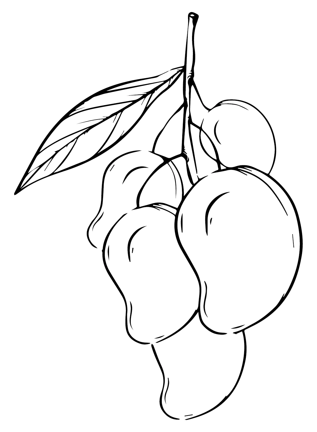 Drawing Mango Coloring Page Free Printable Coloring Pages