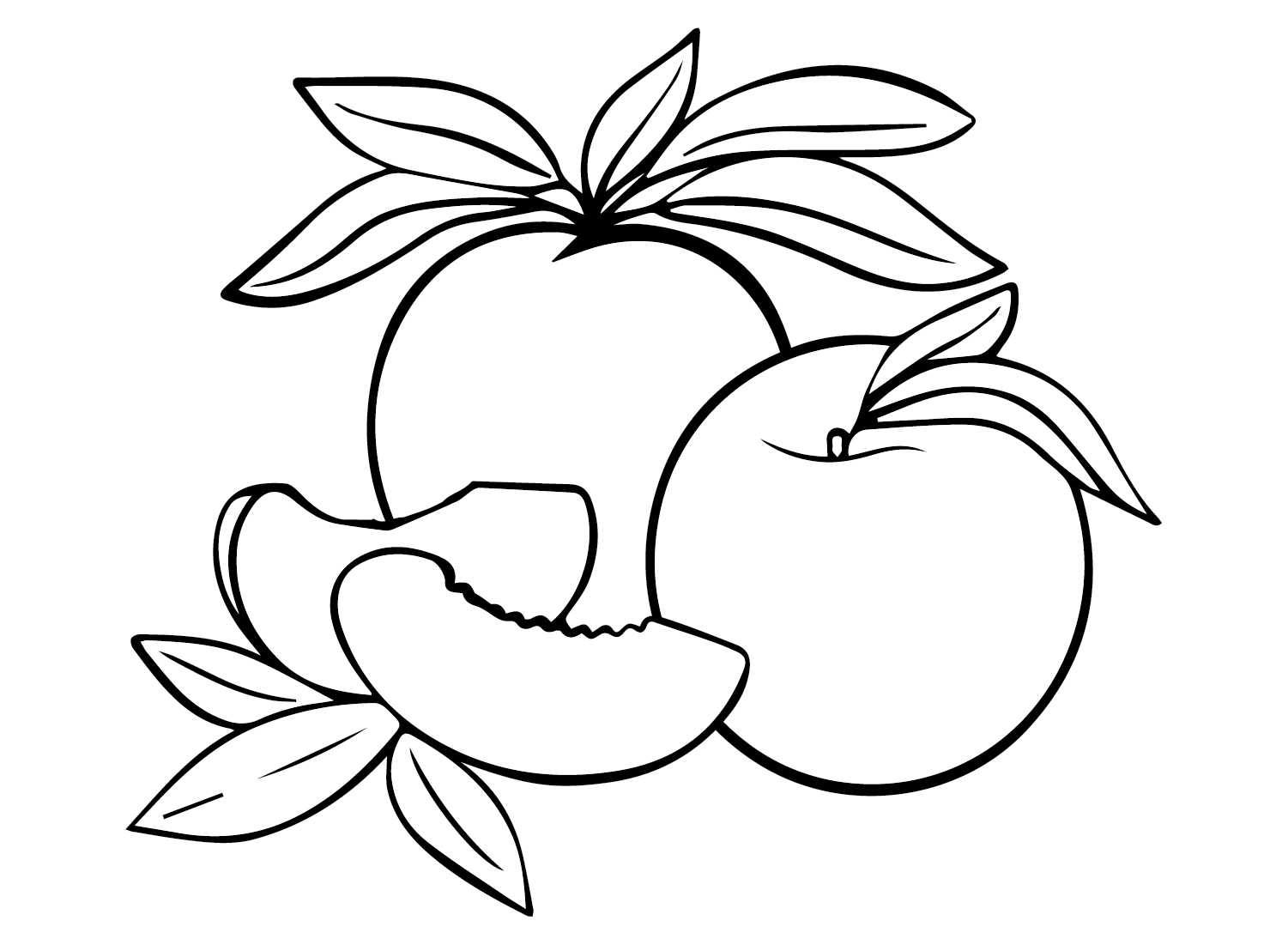 Drawing Peaches Coloring Page Free Printable Coloring Pages
