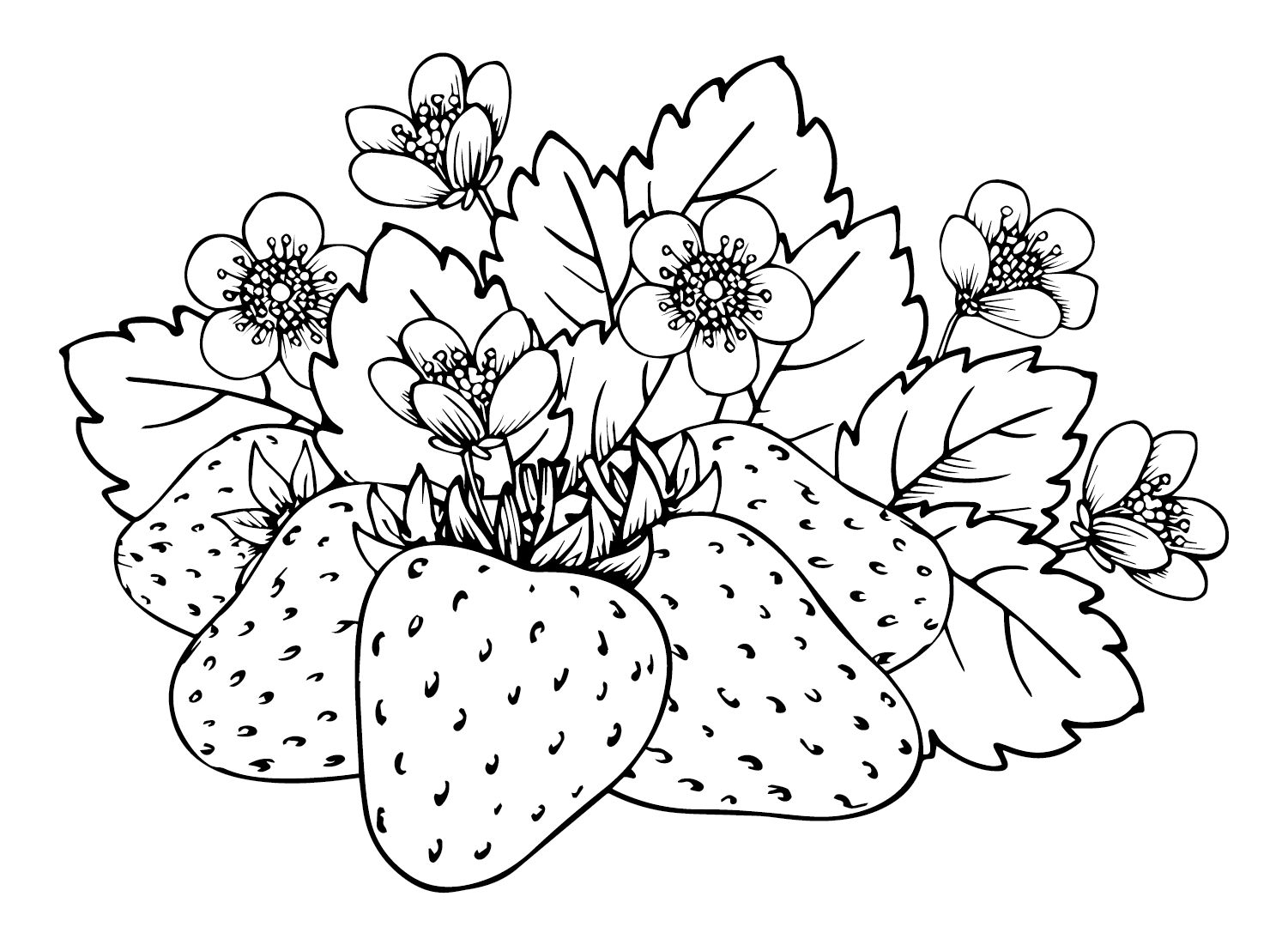 50+ Strawberry Coloring Pages Free Printable PDF, JPG, PNG & Online