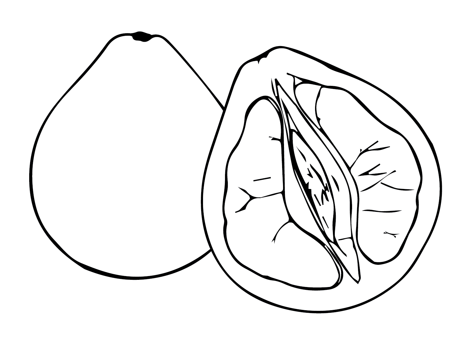 Páginas para colorir frutas Pomelo Páginas para colorir Pomelo