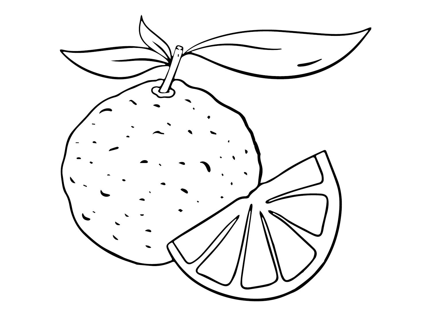 Pomelo Drawing Coloring Page Free Printable Coloring Pages