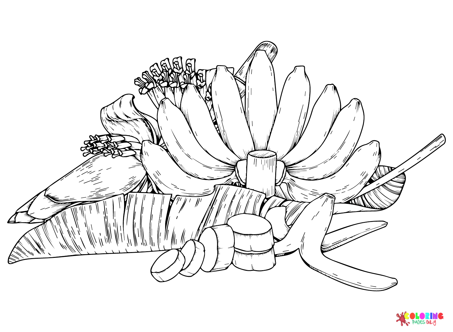 Images Bananas Coloring Page Free Printable Coloring Pages