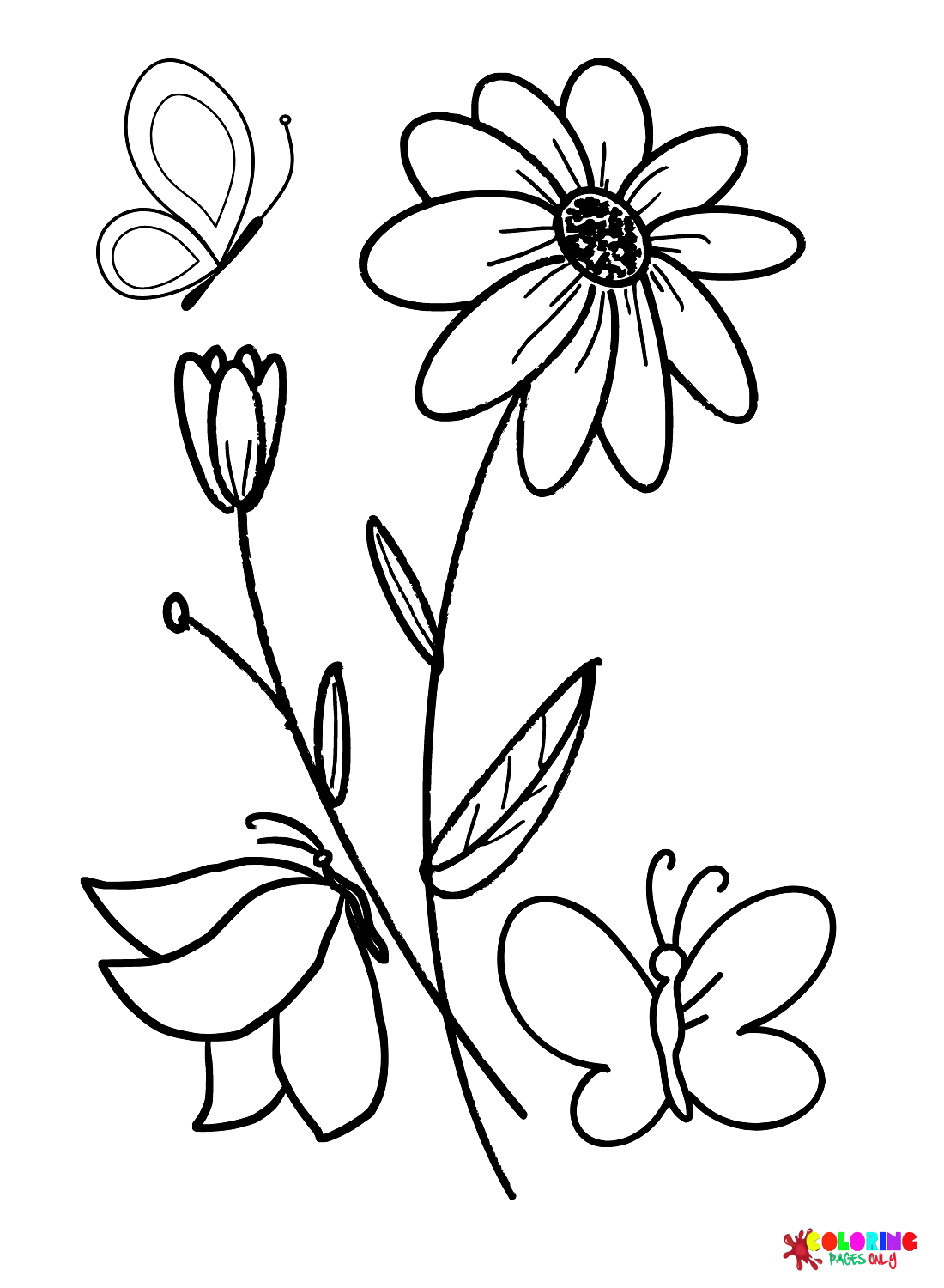 Free Daisy Flower Coloring Page Free Printable Coloring Pages