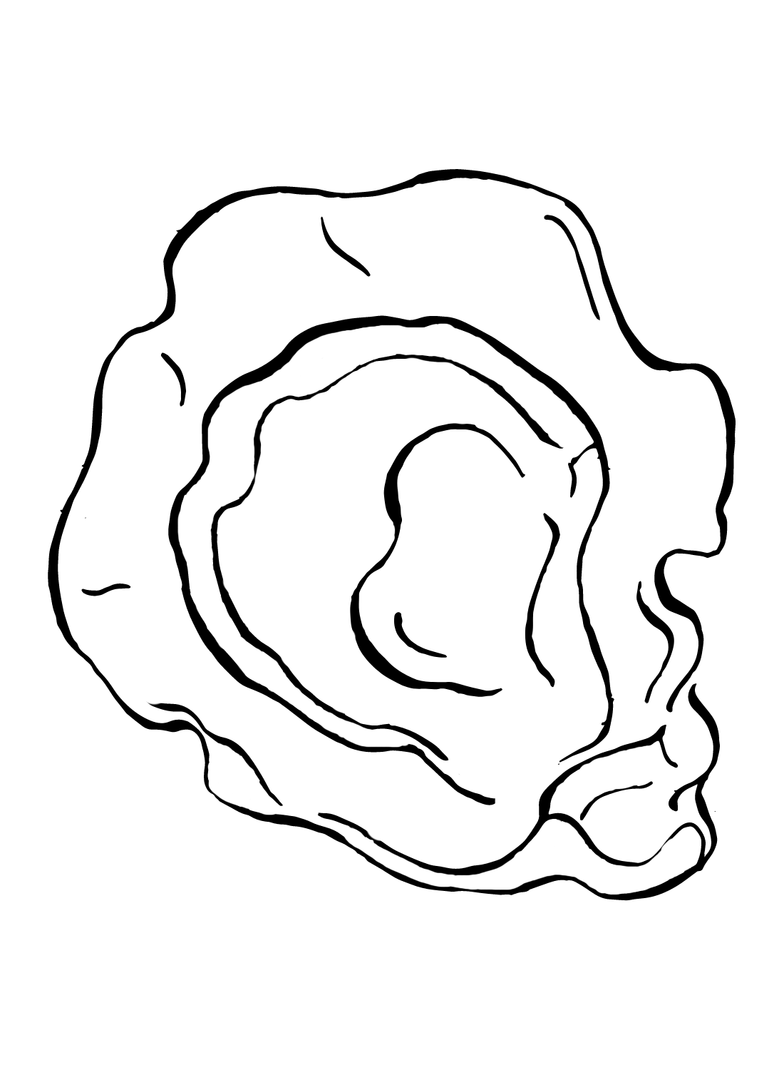 Oyster Printable Coloring Page Free Printable Coloring Pages
