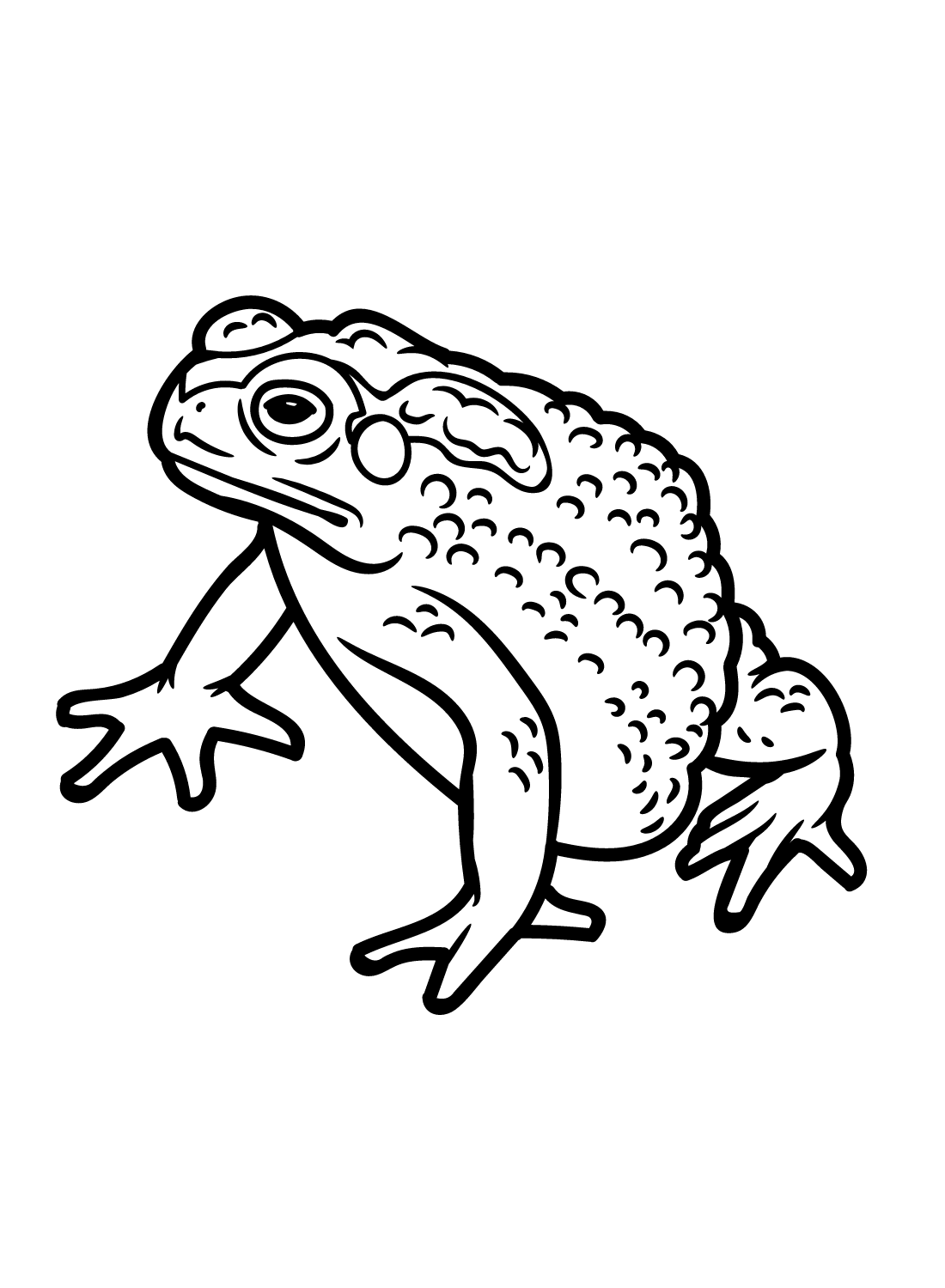 Toad Free Coloring Page Free Printable Coloring Pages
