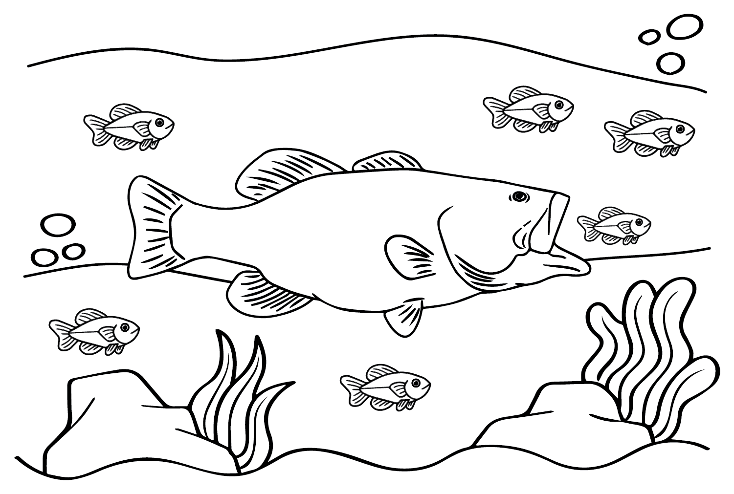 20+ Bass Fish Coloring Pages Free Printable PDF, JPG, PNG & Online