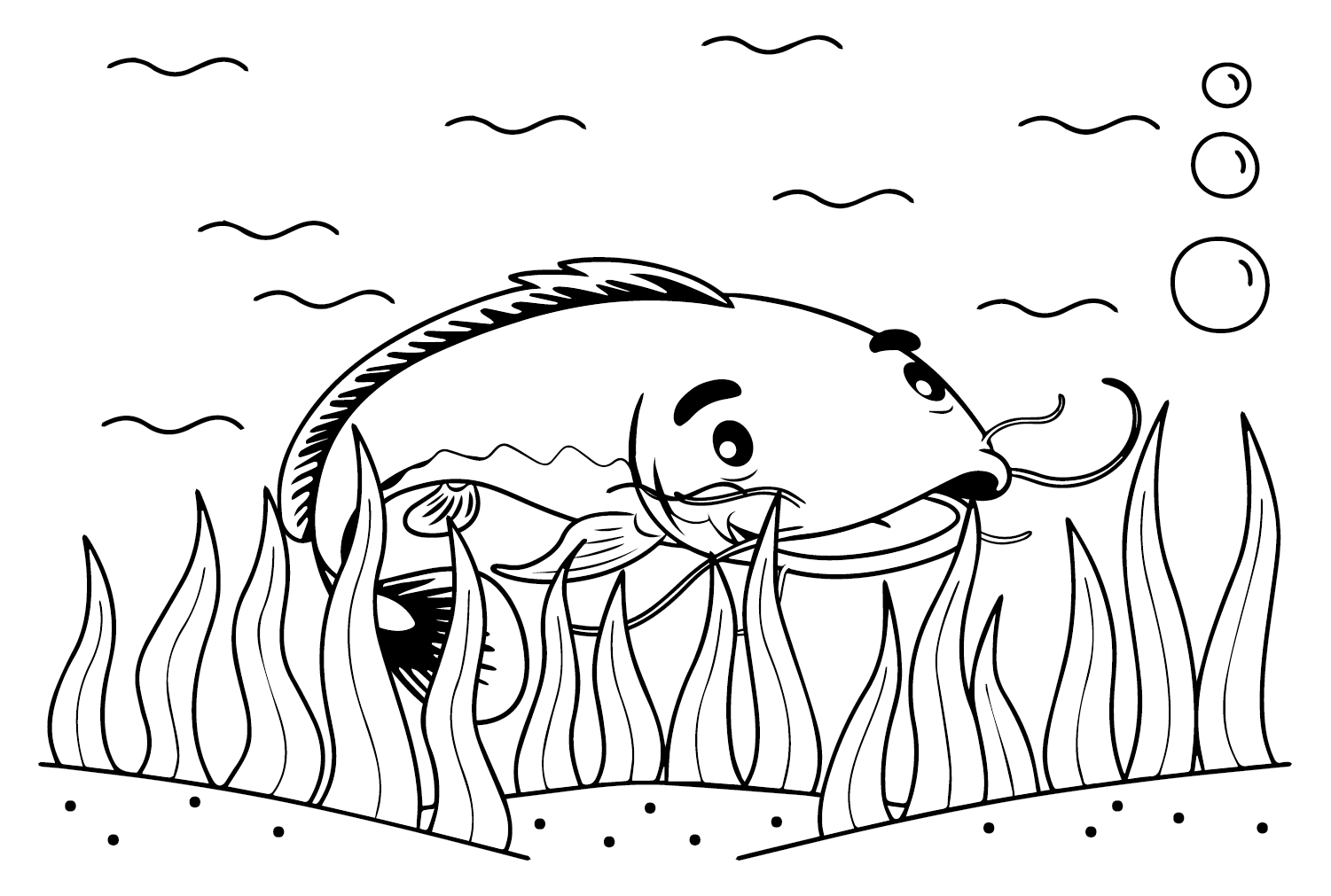 Pictus Meerval Kleurplaten Gratis kleurplaten om te printen