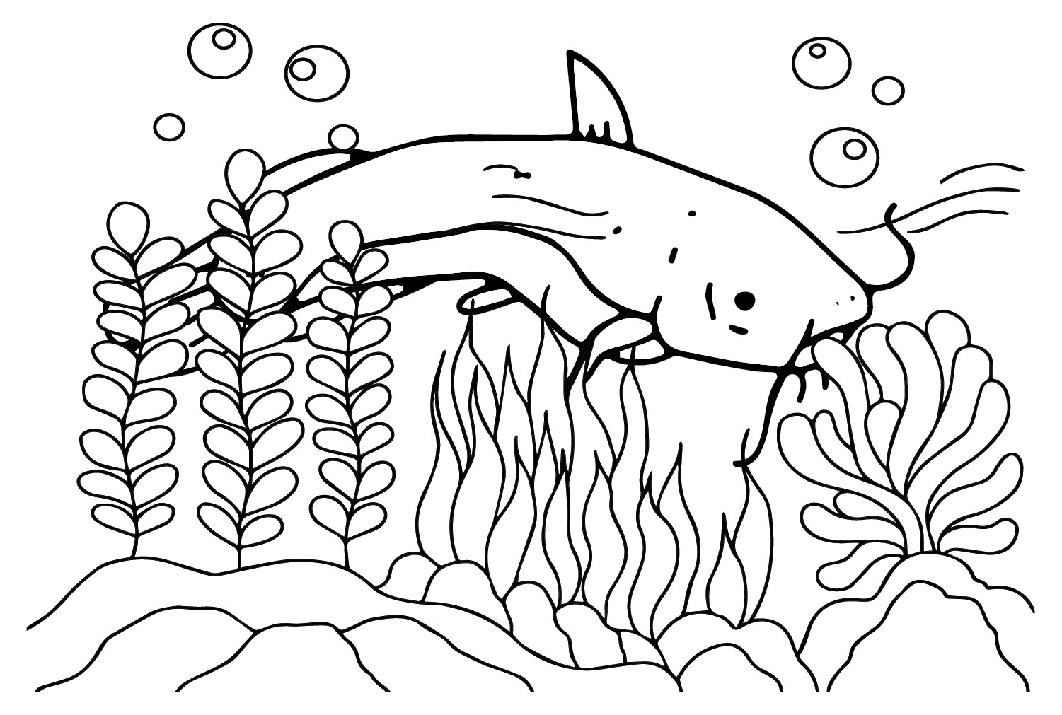 23 Catfish Coloring Pages