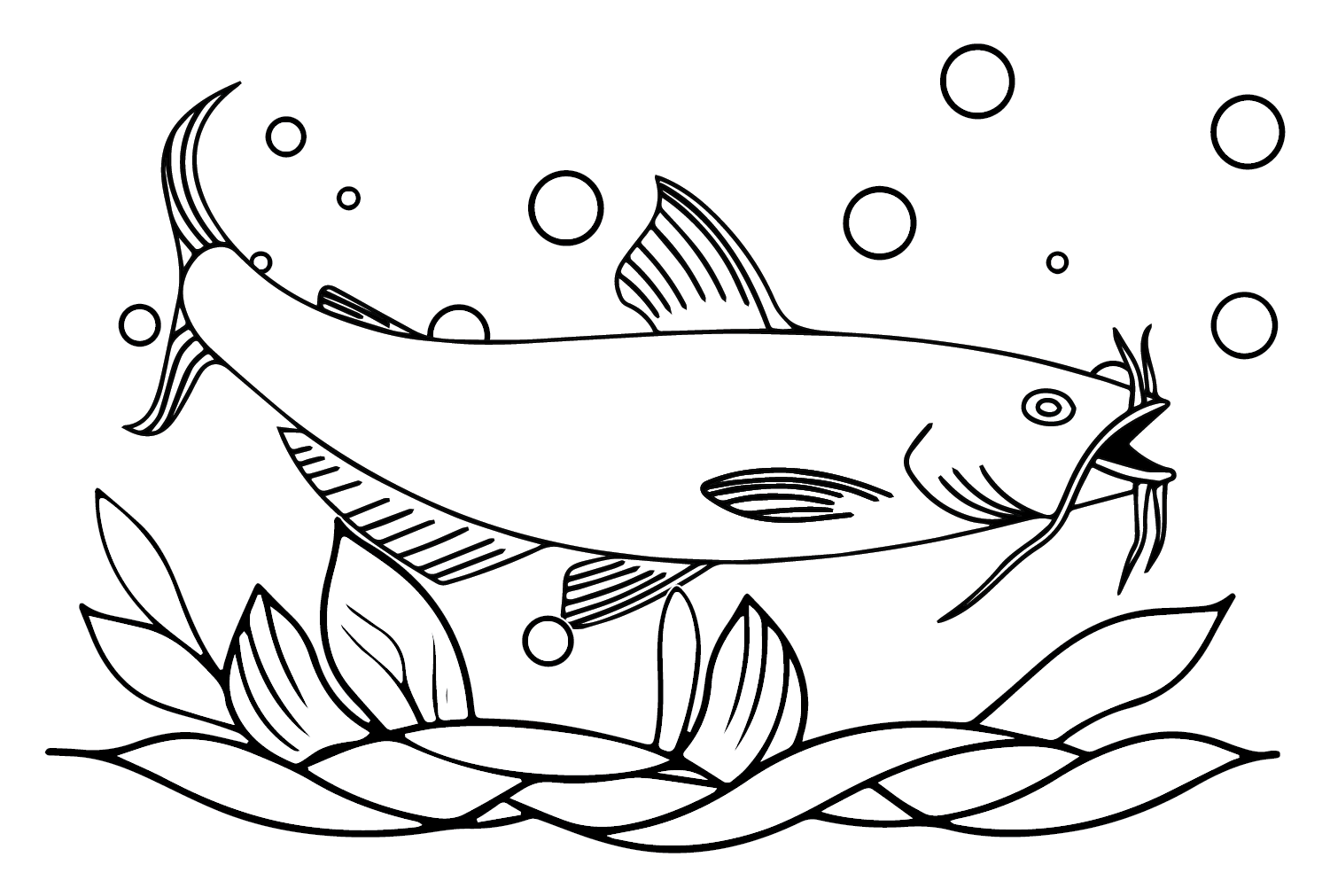 23 Catfish Coloring Pages