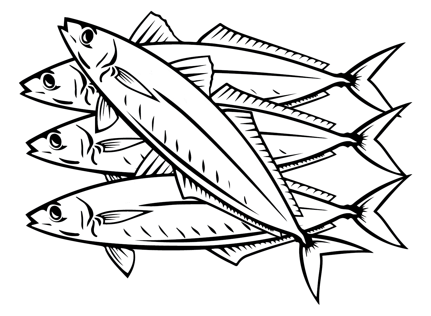 Top 76 newest mackerel coloring pages , free to print and download