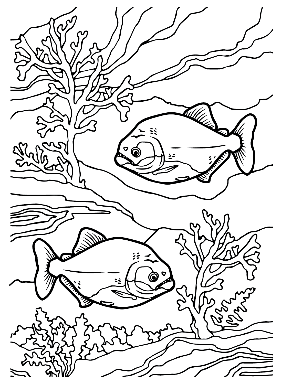 20+ Piranha Coloring Pages Free Printable PDF, JPG, PNG & Online Coloring