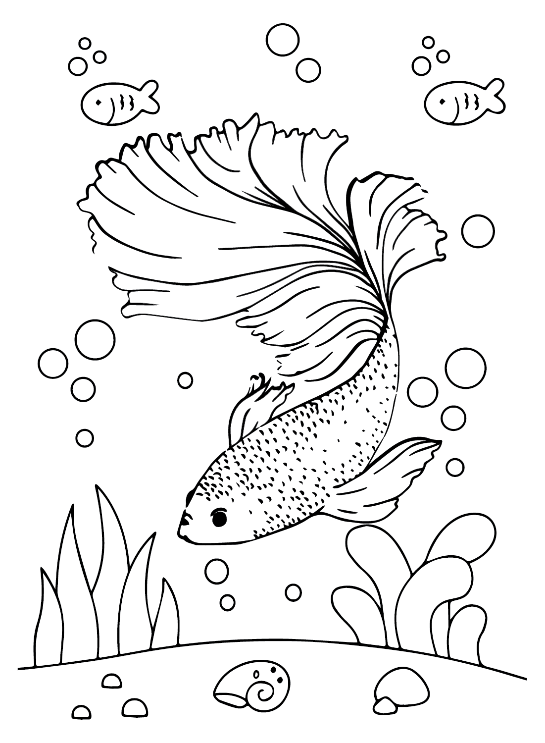 27 Betta Fish Coloring Pages
