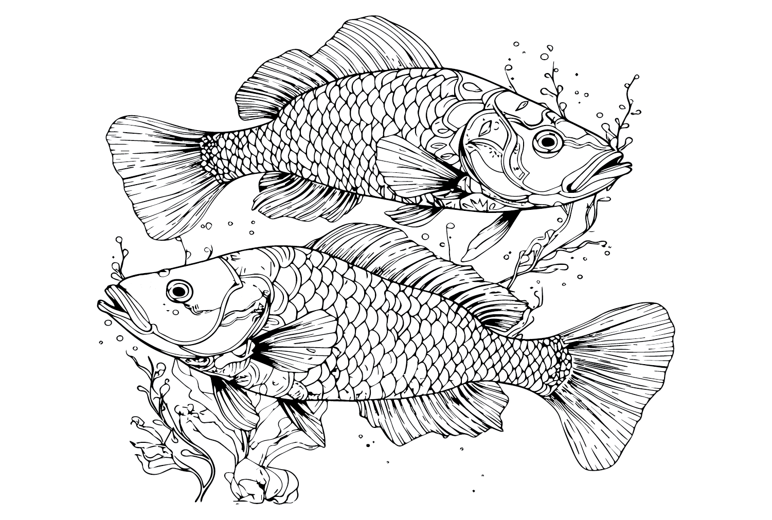20+ Bass Fish Coloring Pages Free Printable PDF & Online Coloring