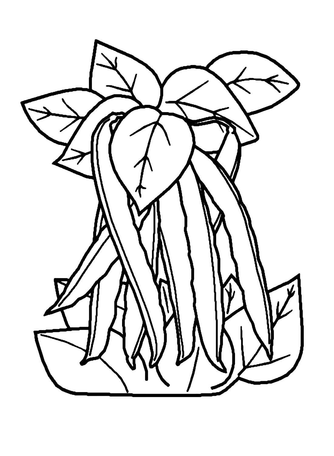 Green Bean Coloring Page