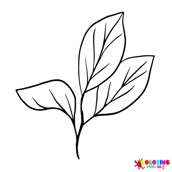 56 Tree Coloring Pages