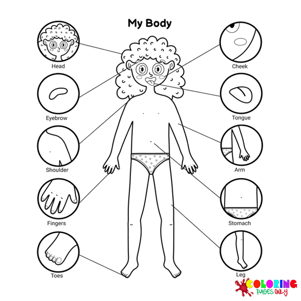 30+ Body Parts Coloring Pages - Free Printable PDF, JPG, PNG & Online