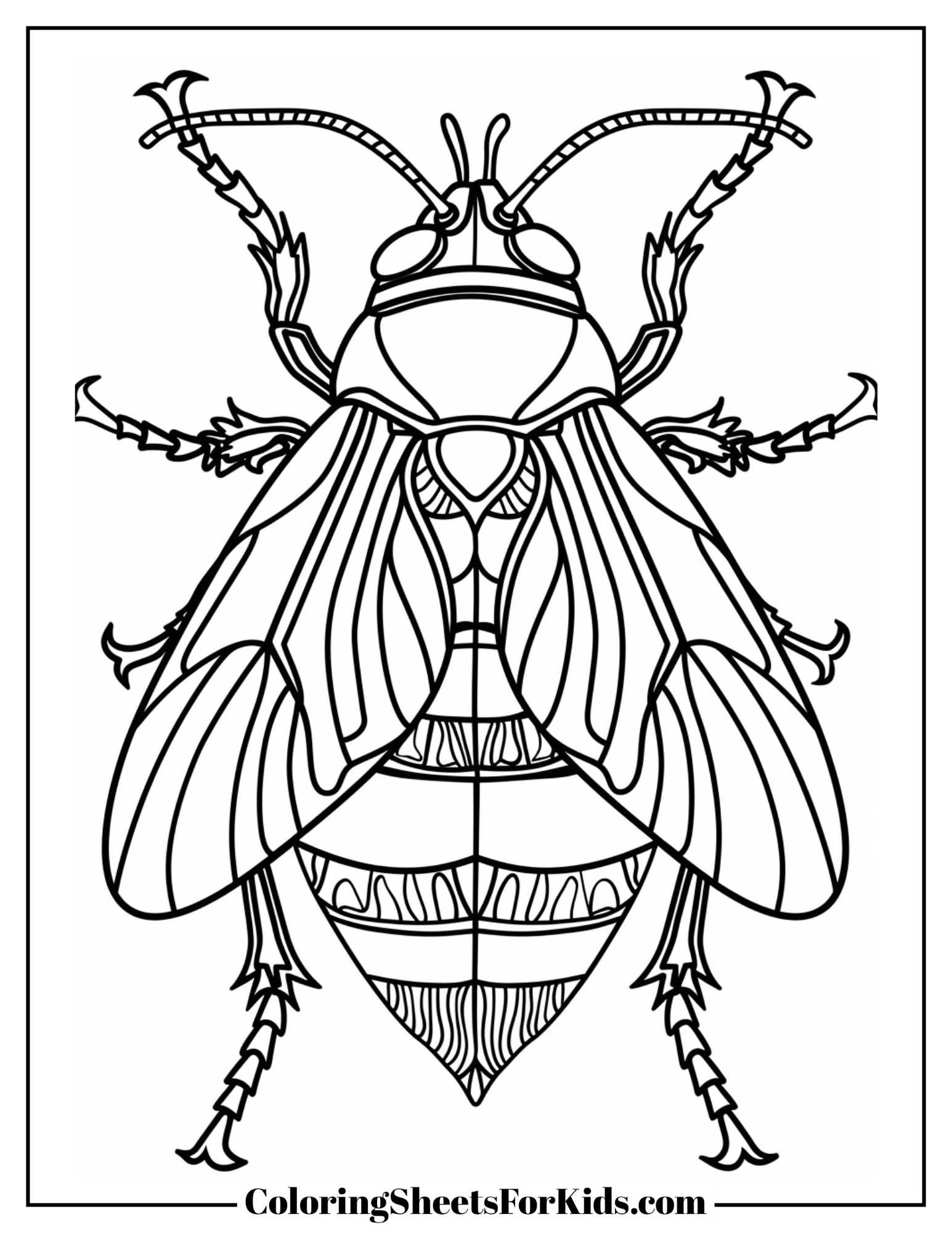 Free Insect Printables Coloring Pages Pdf