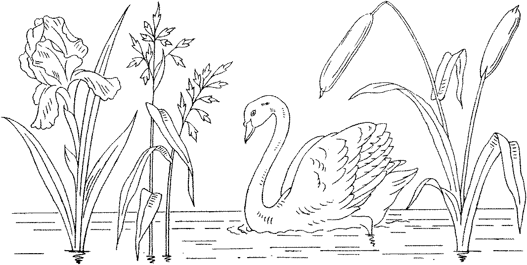 Swan coloring pages to download and print for free