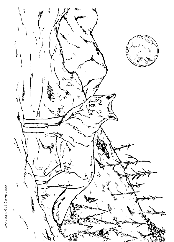 Anime Wolves Mating Coloring Pages