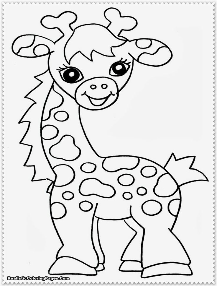Baby Safari Coloring Pages