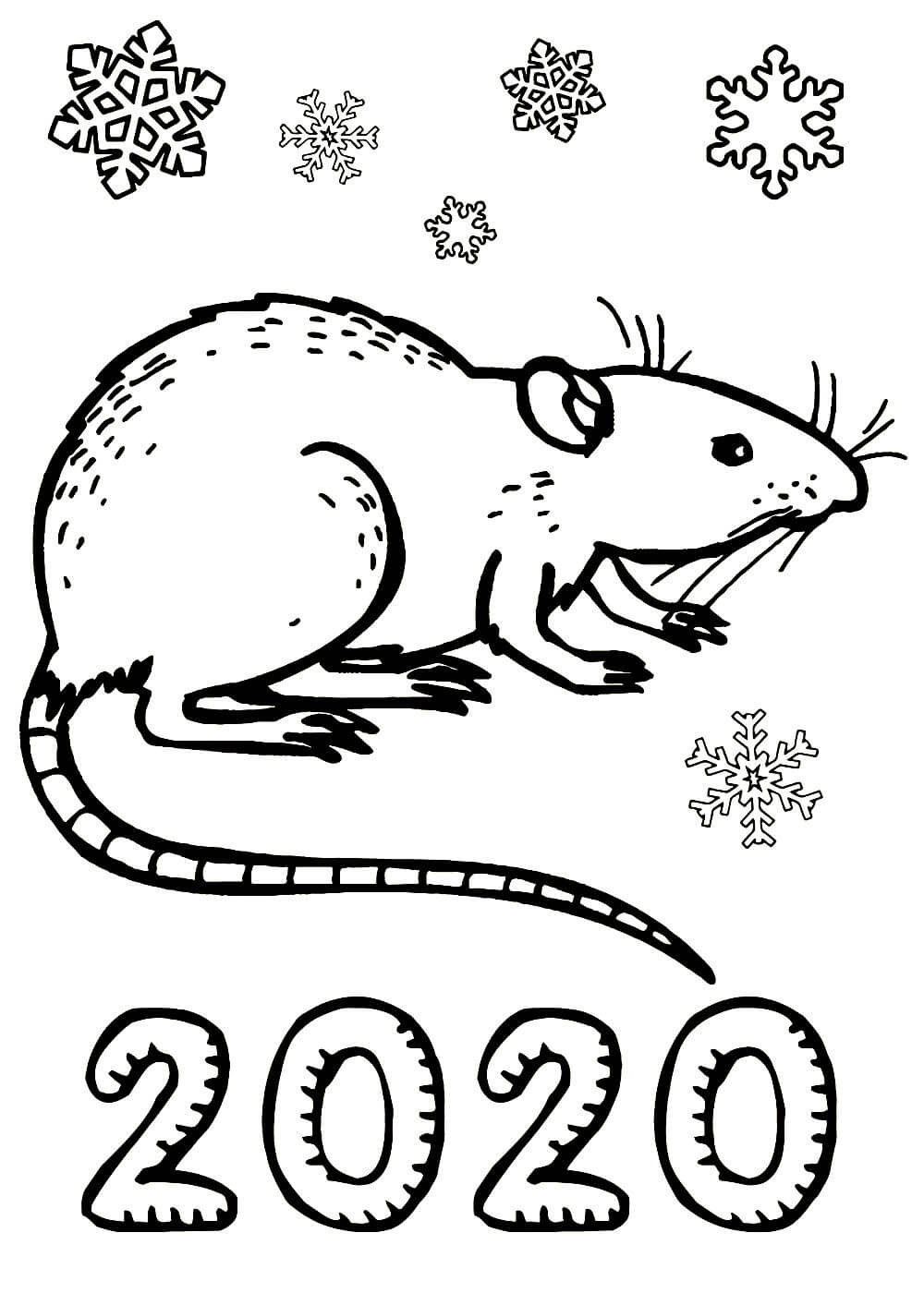 Coloring Books 2020 Etsy