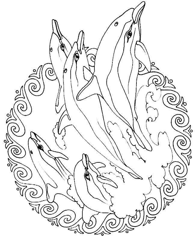 Animal mandala coloring pages to download and print for free