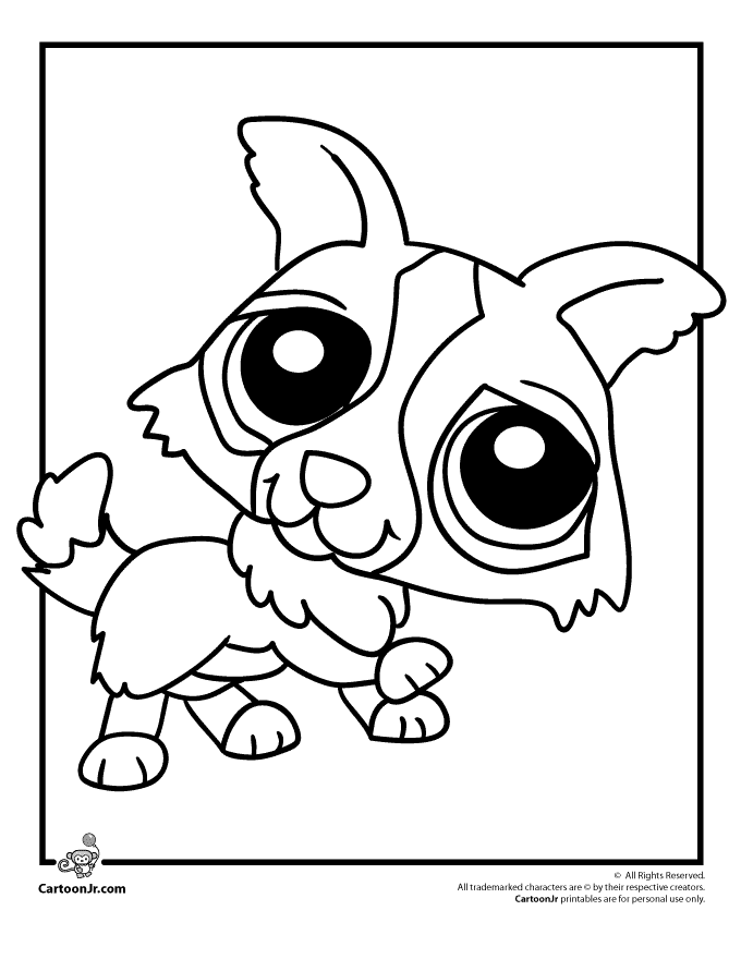 Pet shop coloring pages to download and print for free