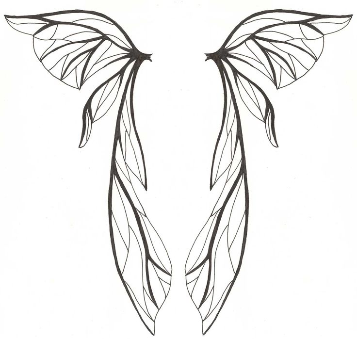 Fairy wing coloring pages download and print for free