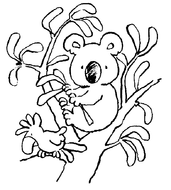 Koala coloring pages to download and print for free