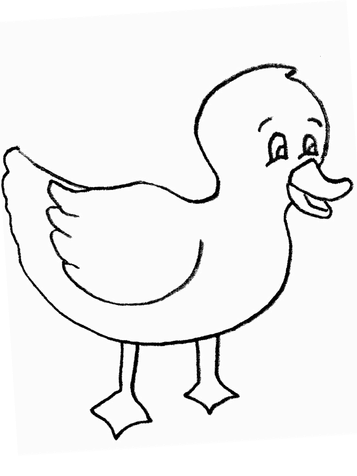 Ducks coloring pages to download and print for free