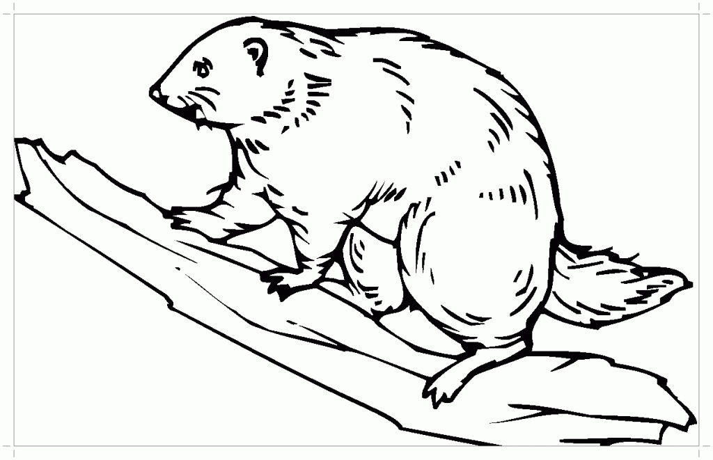 Beaver Coloring Pages to download and print for free