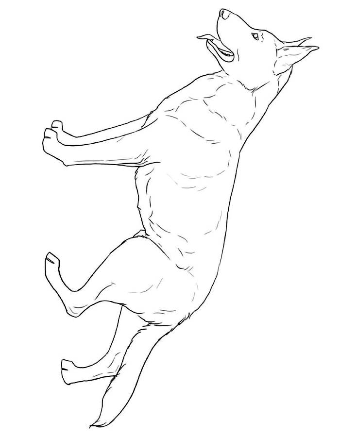 German Shepherd Coloring Pages (Free Printable PDF)