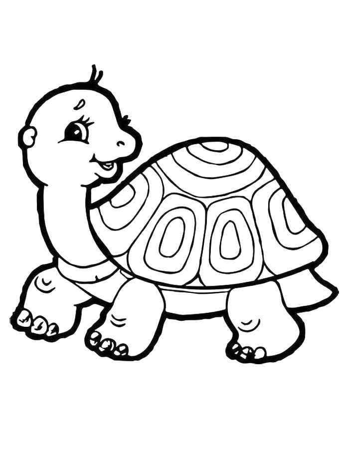 Turtle Coloring Pages (Free Printable PDF)