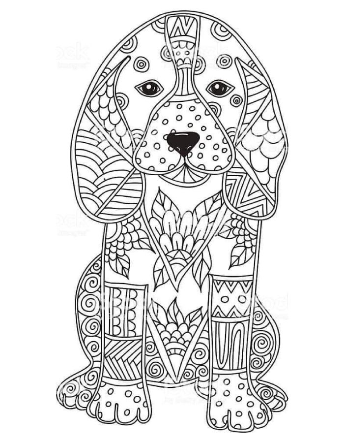 Animal Pattern Coloring Page (Free Printable PDF)