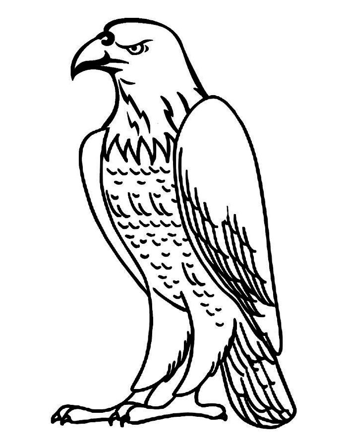 Bald Eagle Sheet Coloring Page (Free Printable PDF)