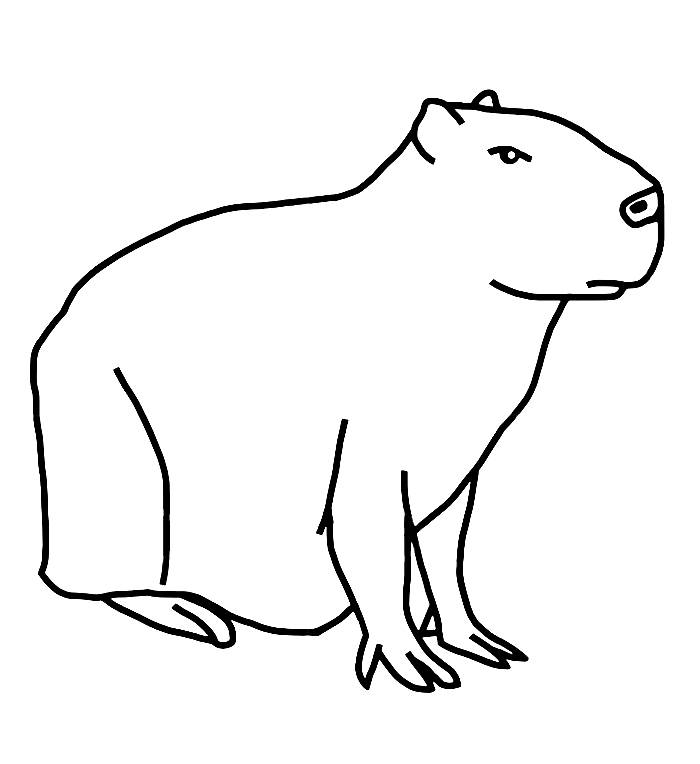 Capybara Coloring Pages (Free Printable PDF)