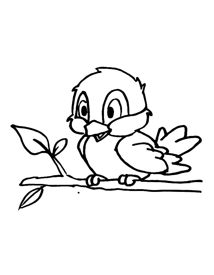 Bluebird Coloring Pages (Free Printable PDF)