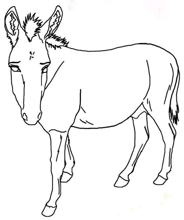 Donkey Coloring Pages (Free Printable PDF)