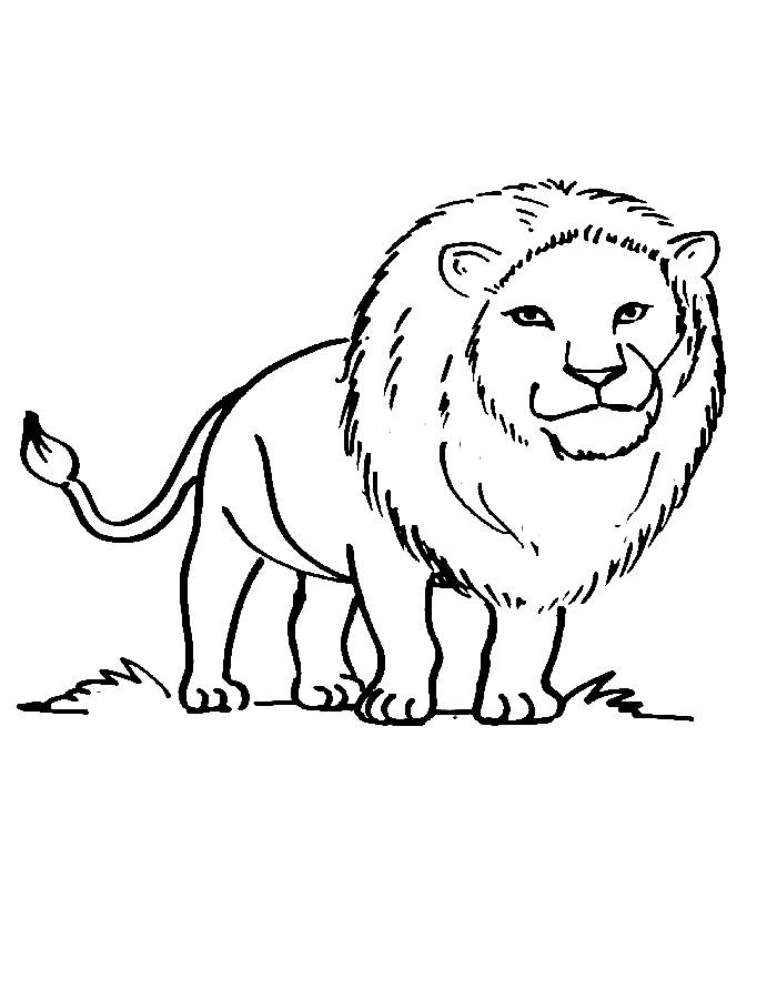 Lion Coloring Pages (Free Printable PDF)
