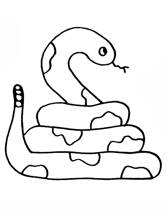 Snake Coloring Pages (Free Printable PDF)
