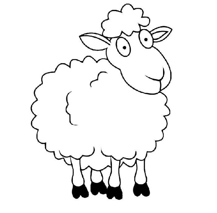 Sheep Coloring Pages (Free Printable PDF)